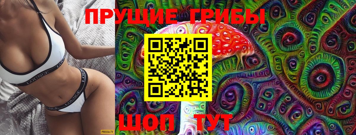 Галлюциногенные грибы Psilocybine cubensis Канаш
