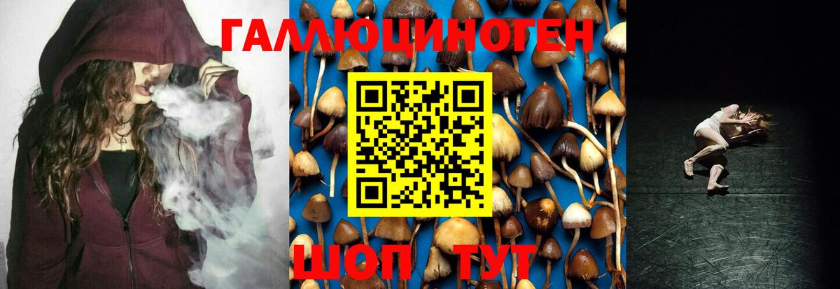 Псилоцибиновые грибы Psilocybine cubensis  Вход с VPN  Канаш 